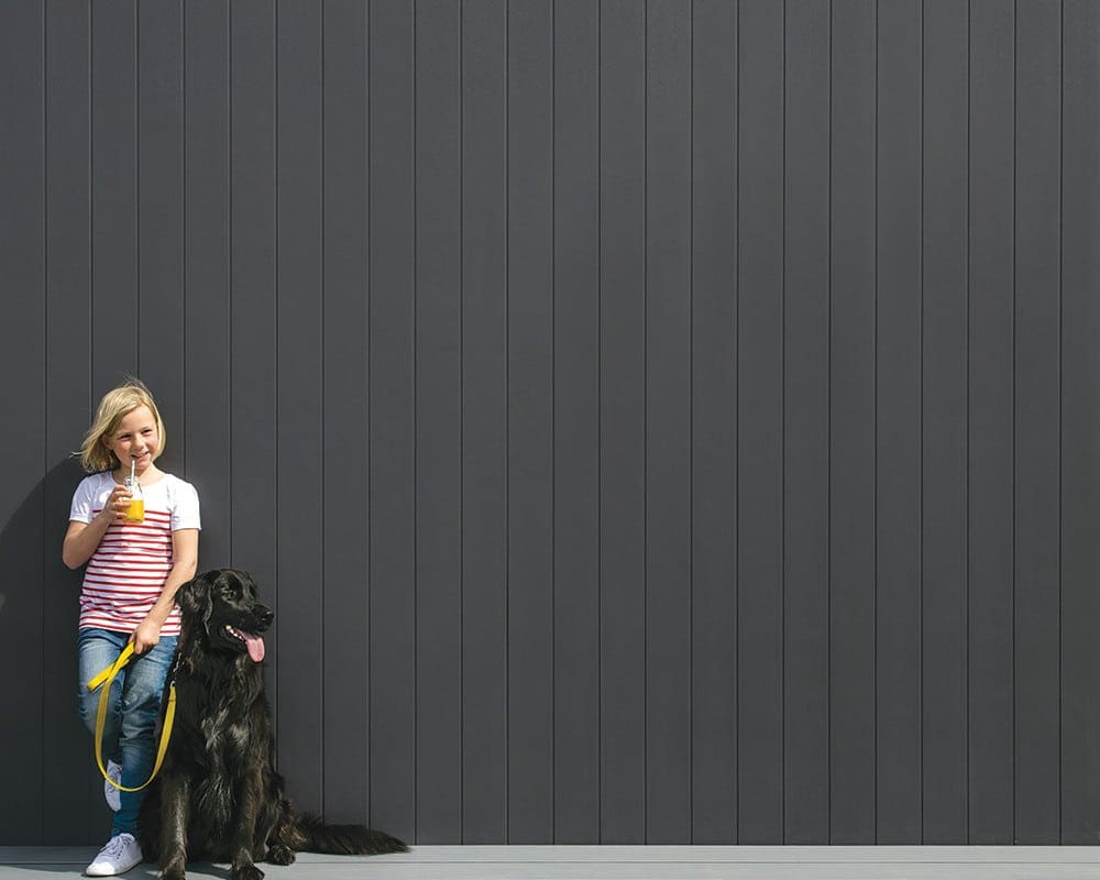 Axon Cladding